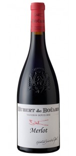 Hubert De Bouard Merlot, Bordeaux, France