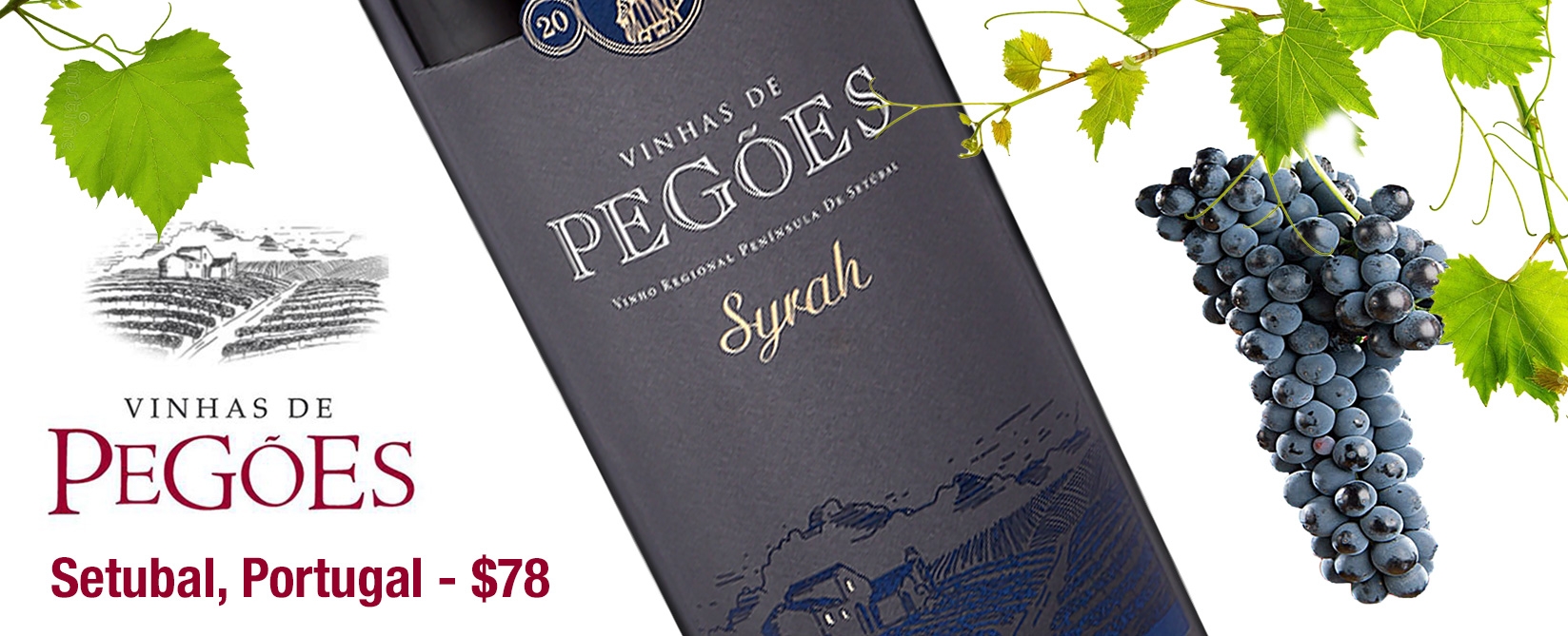 Vinhas de Pegões Syrah, Portugal